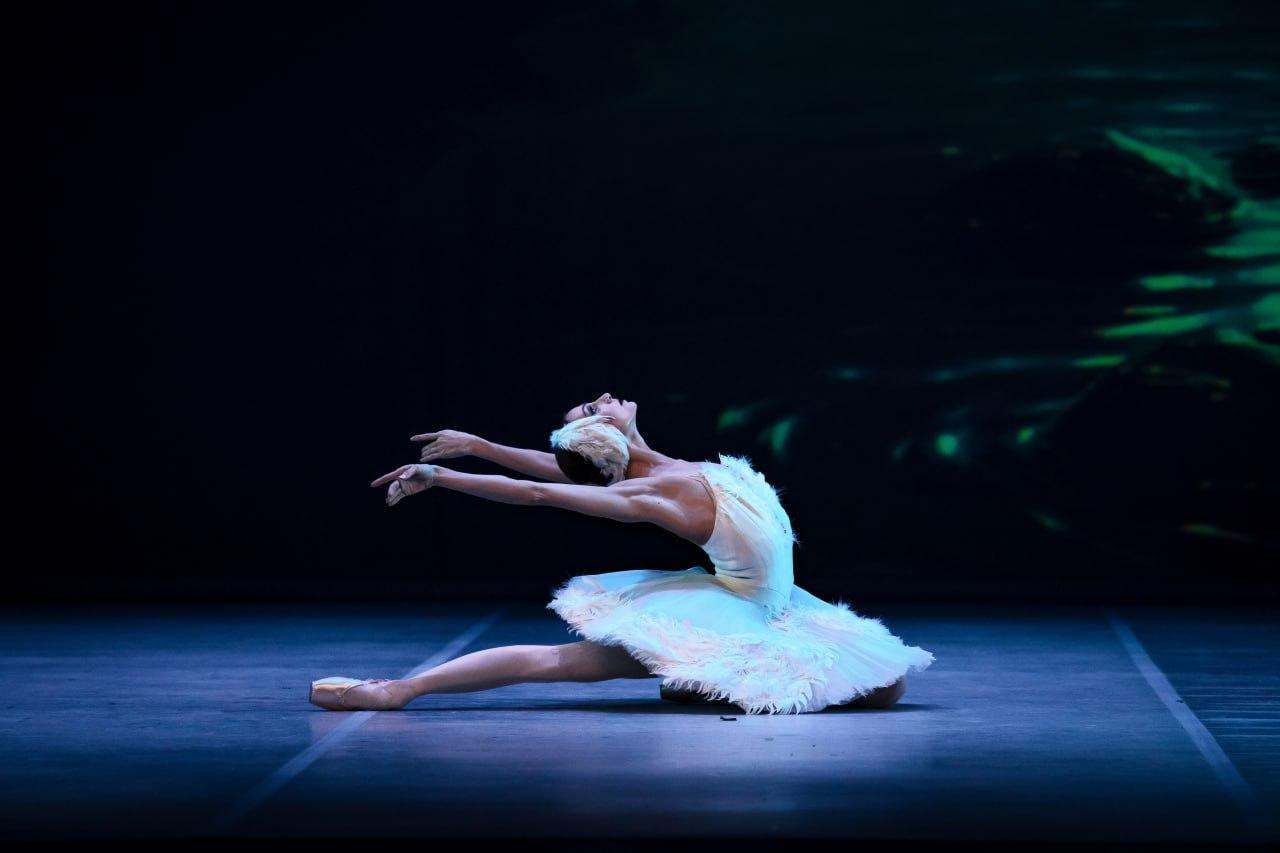 Десятый благотворительный гала-концерт «Звезды Петербурга» пройдет в Александринском театре