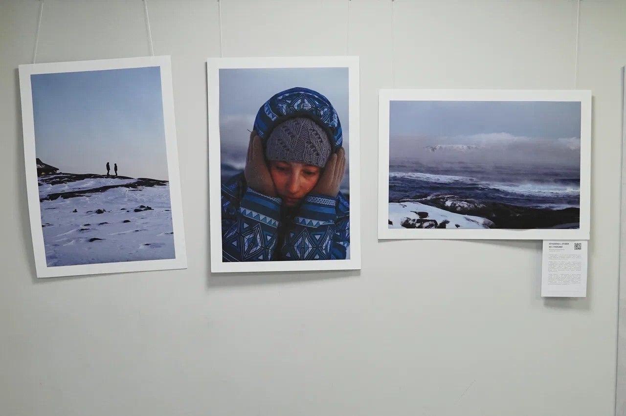 В Красногвардейском районе открыта выставка «Северный код»