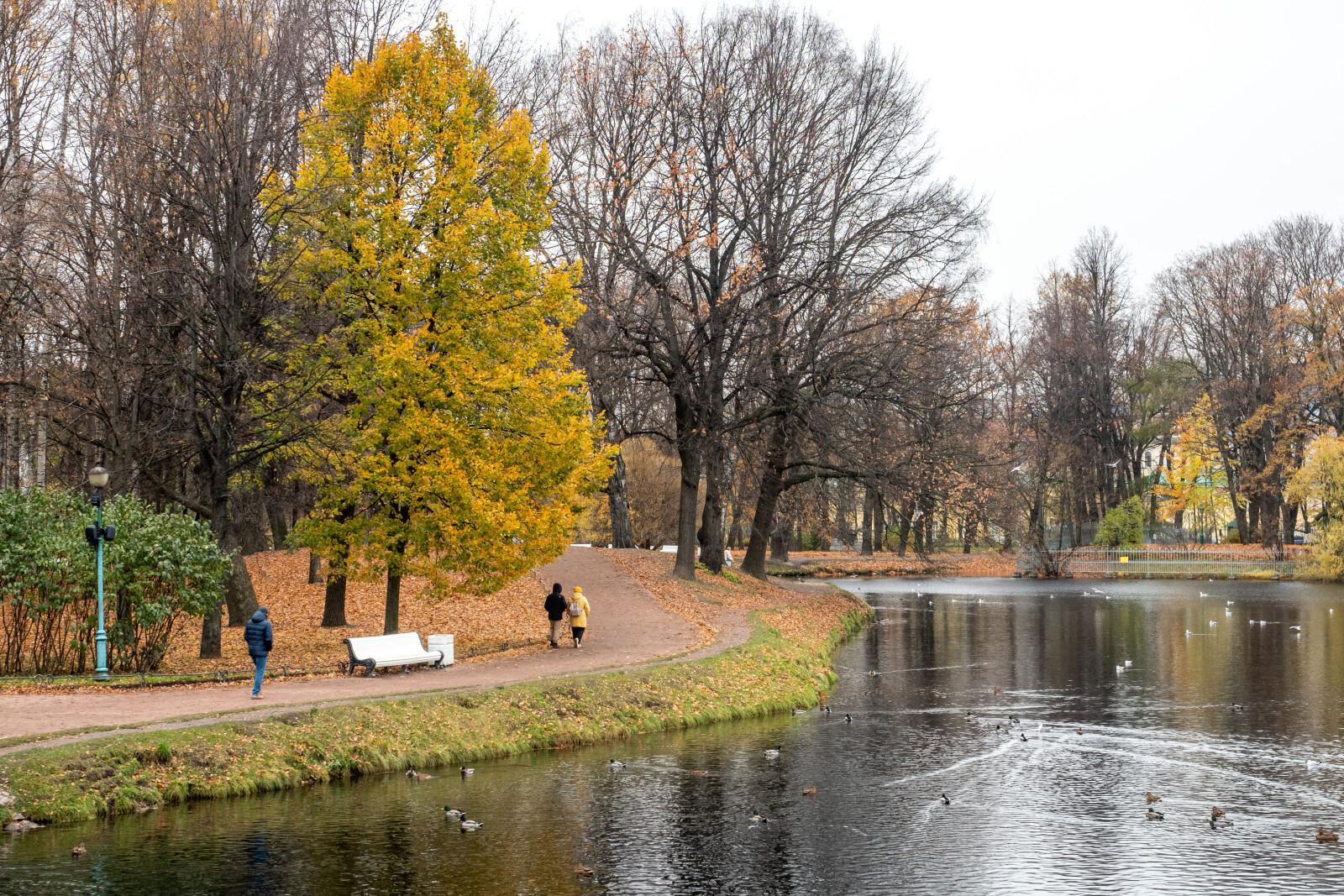 Синоптик Колесов: температура в Петербурге 5 ноября может пойти на рекорд