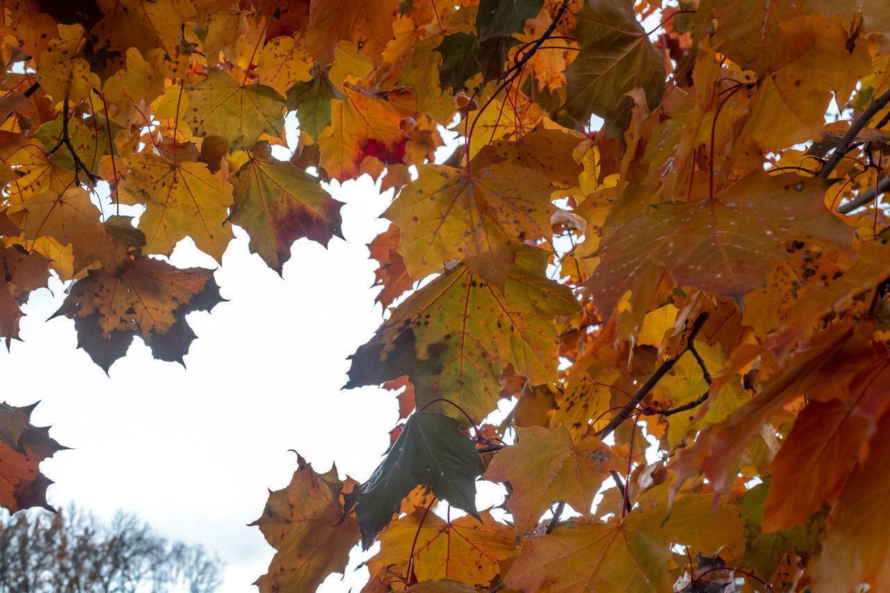 Петербуржцы пережили рекордно теплую ночь