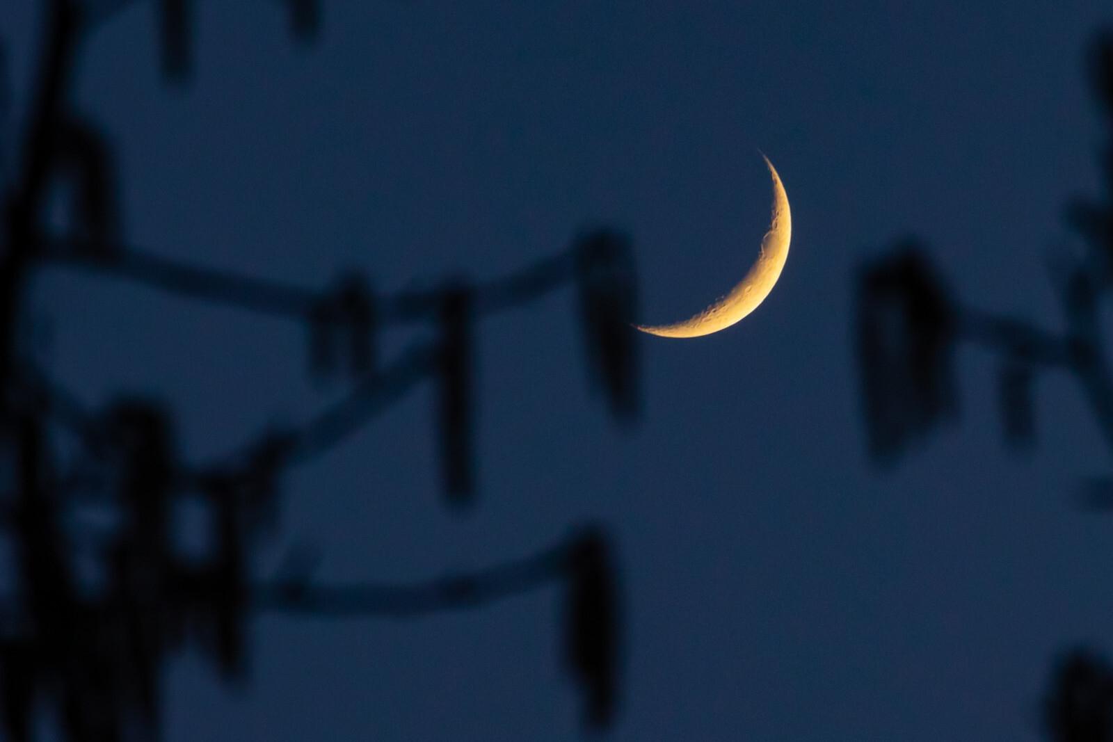 В Петербурге ночью пятого ноября не удалось установить погодный рекорд