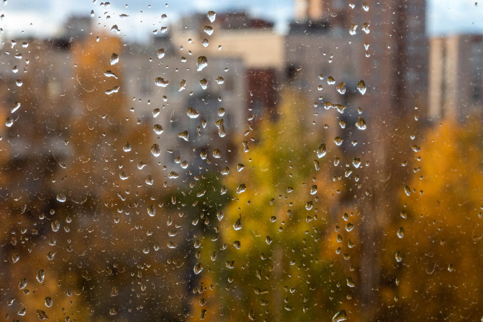 В Петербурге сохраняется теплая и дождливая погода