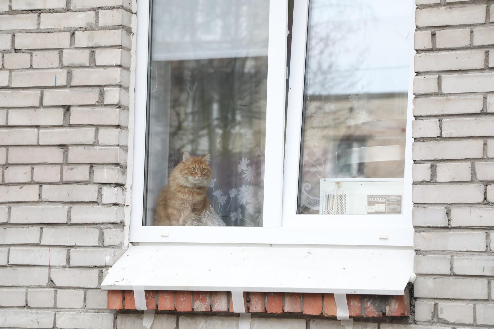 В Петербурге ужесточат контроль за перепланировками в квартирах