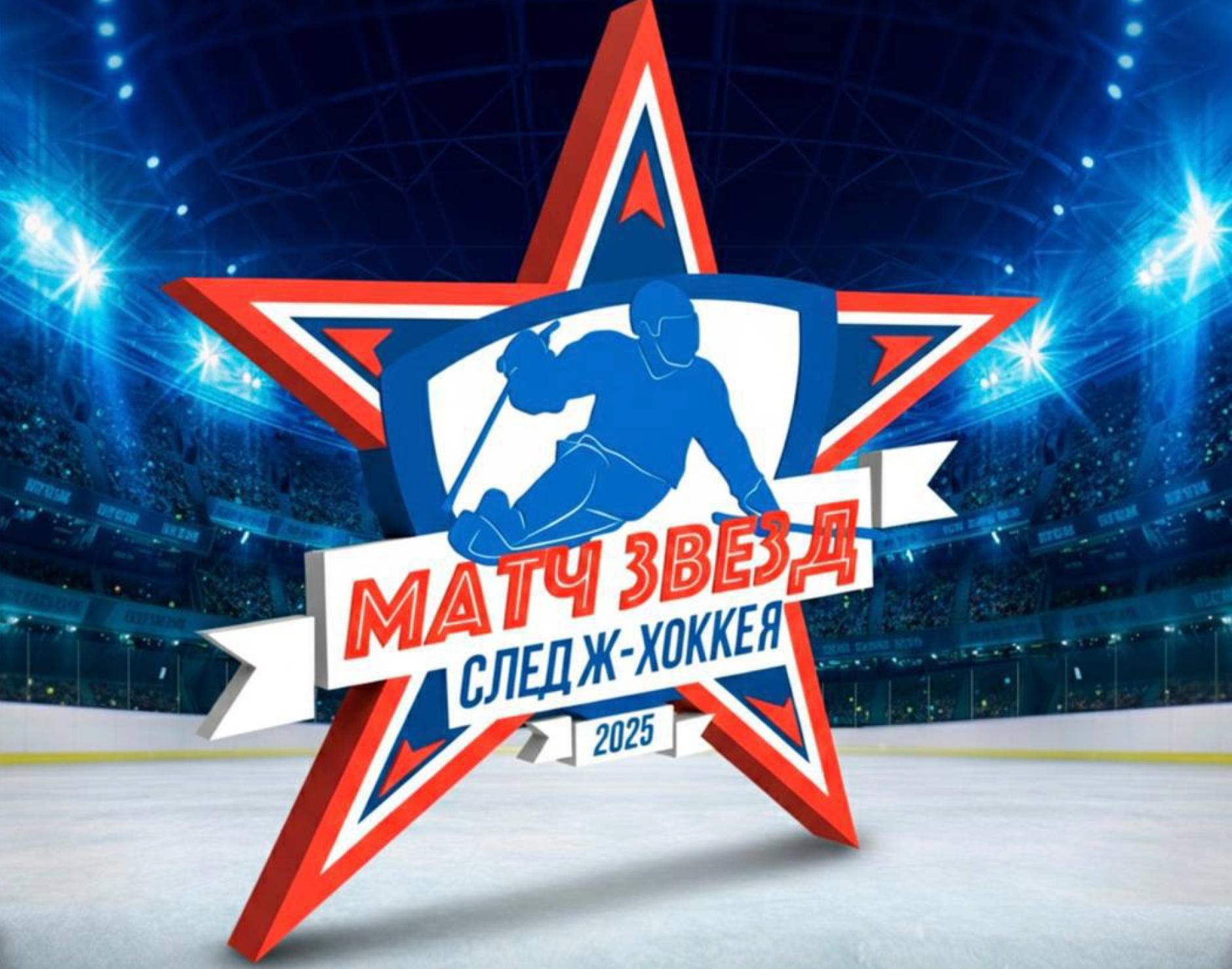 В Петербурге 13 декабря пройдет первый в России «Матч звезд следж-хоккея»