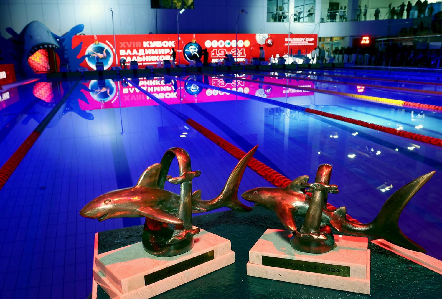 В Санкт-Петербурге пройдет «Кубок Владимира Сальникова»