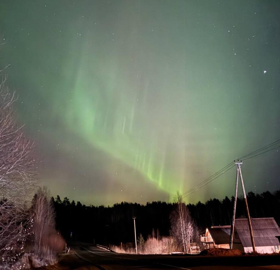 Фото: очевидцы делятся кадрами северного сияния под Петербургом