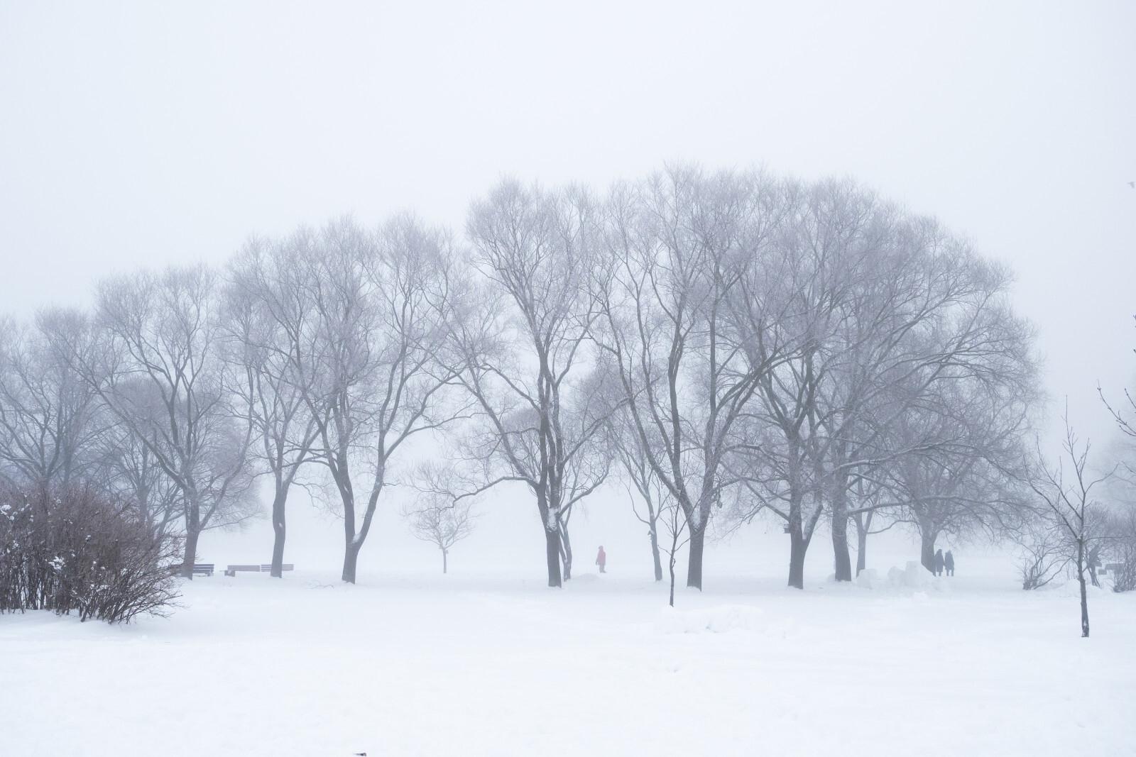 В ближайшие дни Россию ожидают аномальные морозы
