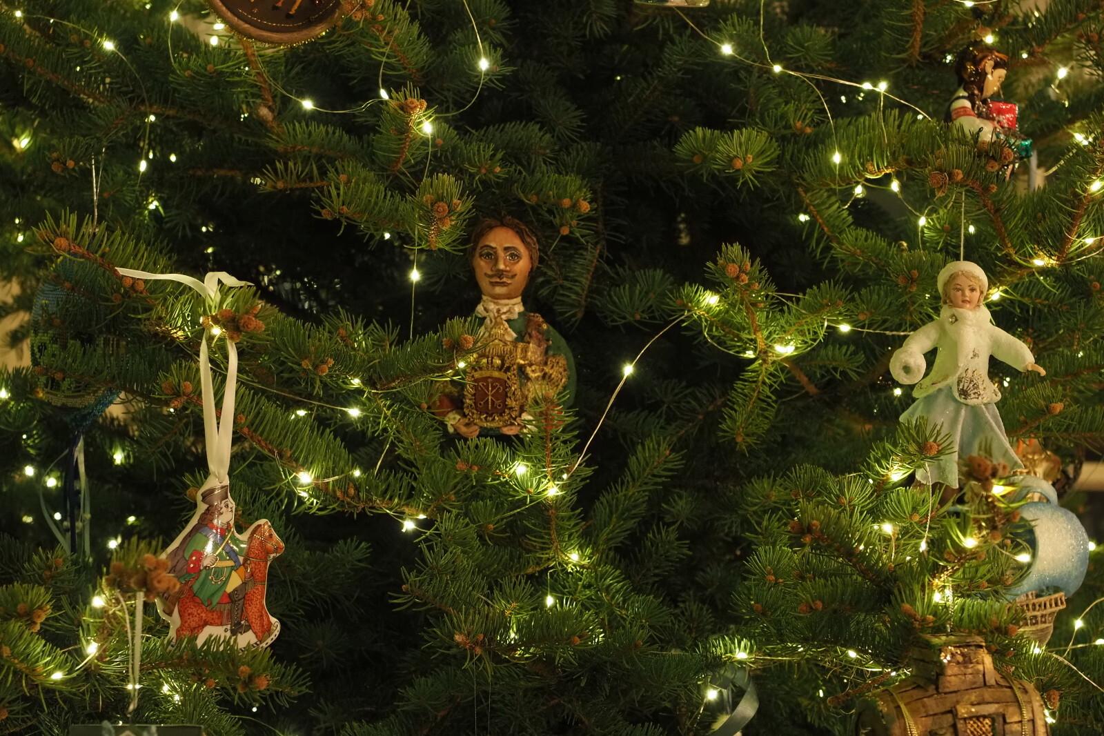 Врач объяснила, как хвоя и пластик могут вызвать аллергию и почему симптомы путают с простудой