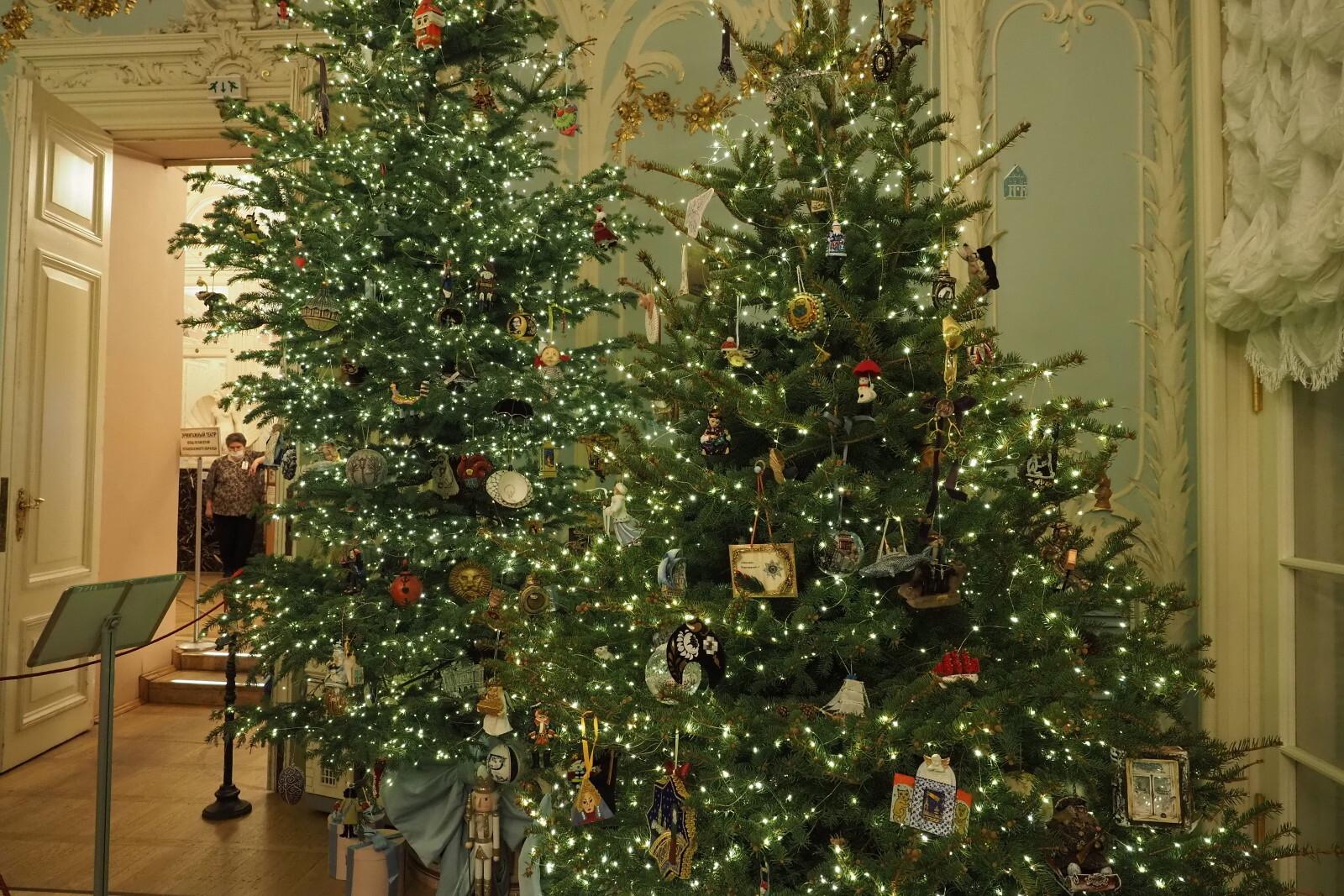 Где легально купить елку в Петербурге: список адресов