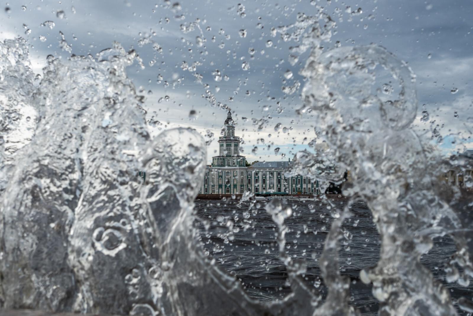 МЧС предупреждает петербуржцев о дожде и сильном ветре 26 декабря
