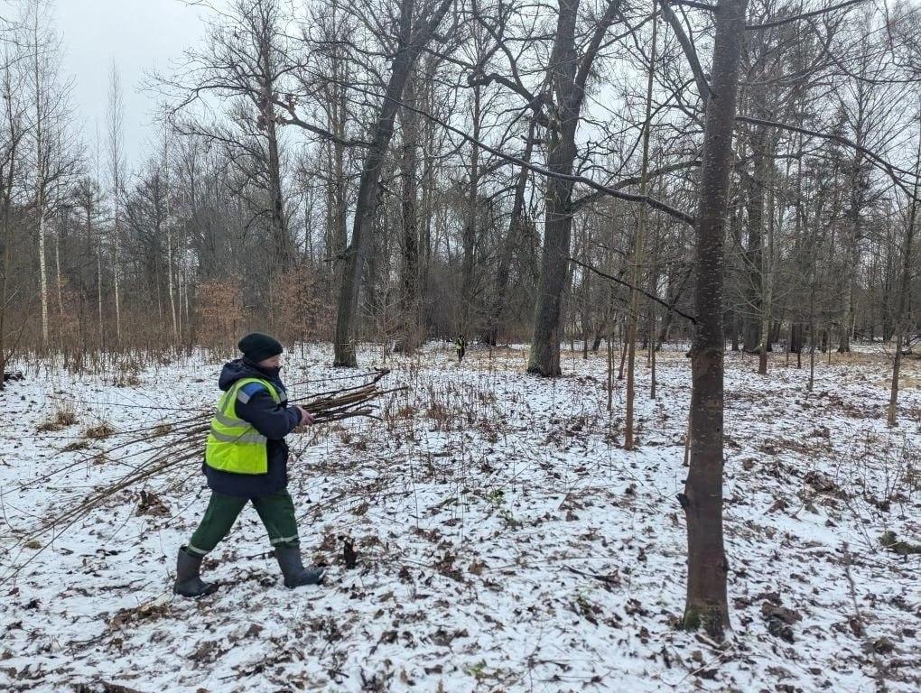Зимний уход за парками: как петербургские садовники готовят зеленые зоны к сезону