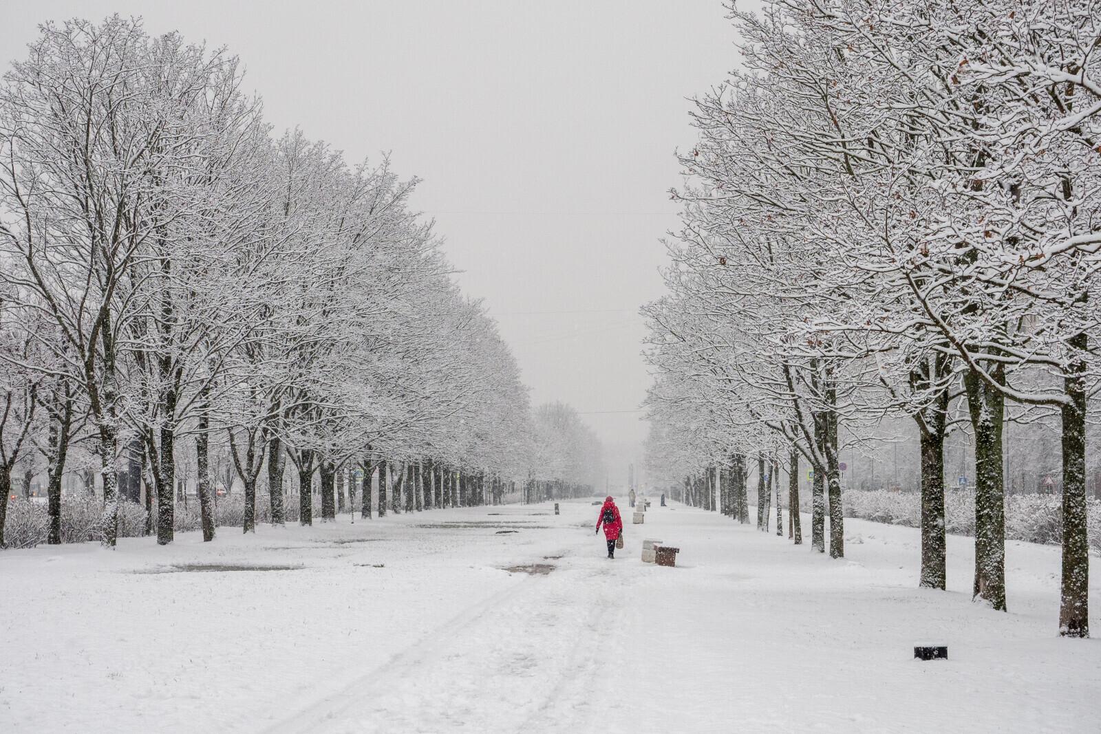 В Ленобласти похолодает до минус 21 градуса в первый день нового года