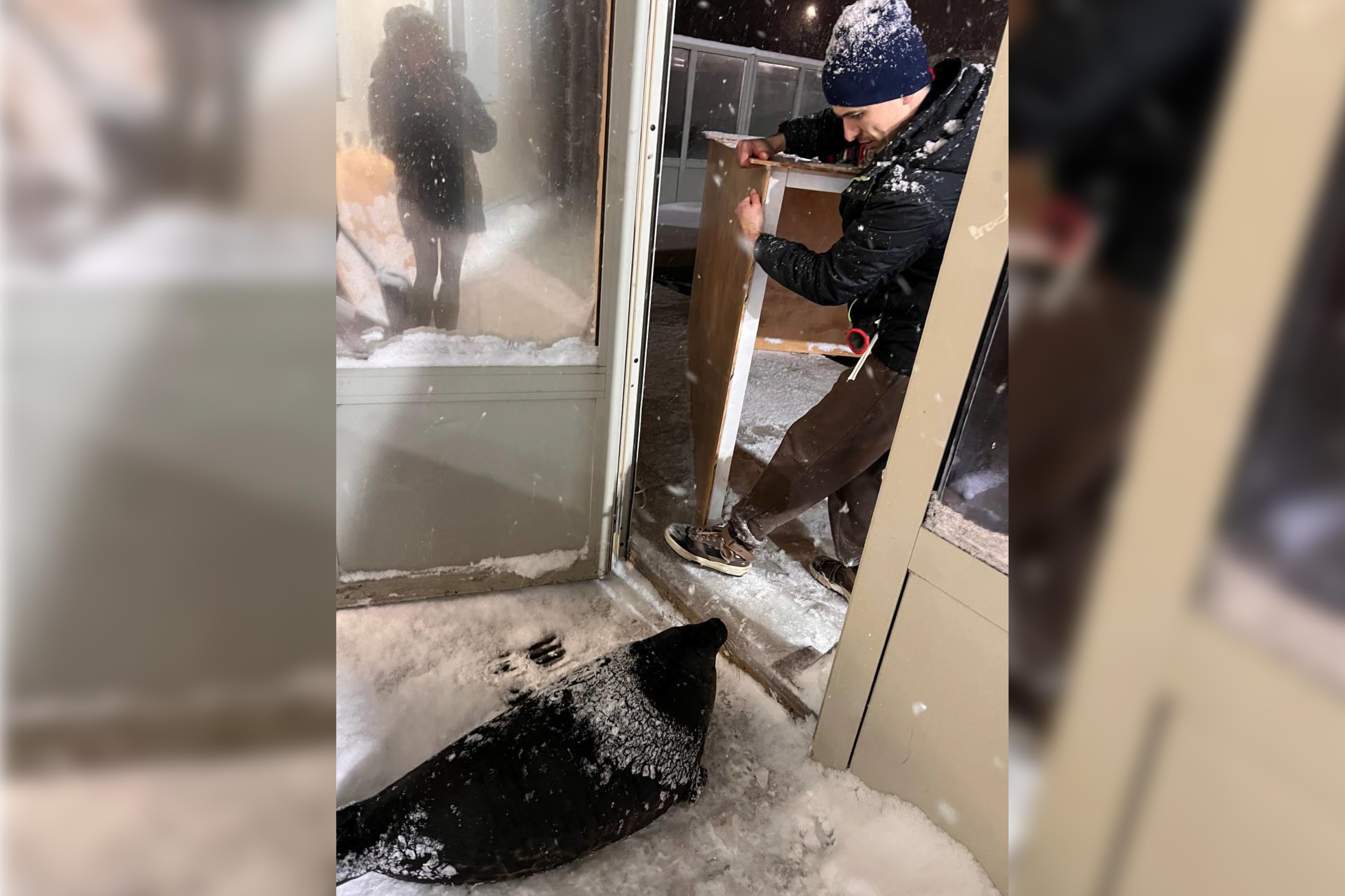 Нерпам Крошику и Шлиссику построили на зиму деревянный домик с обогревателем