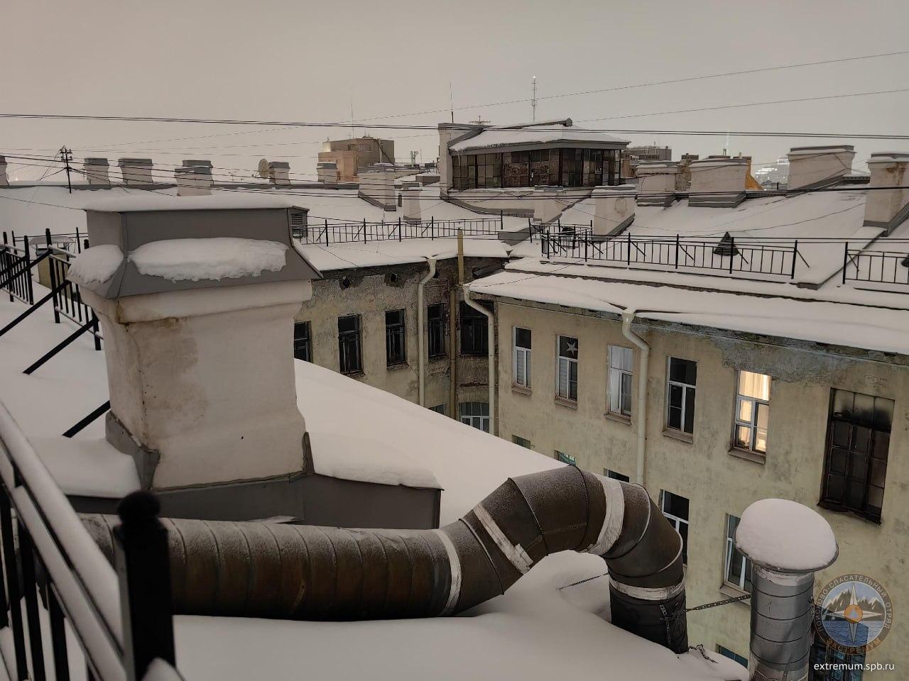 В центре Петербурга волонтеры-спасатели пытаются достать застрявшего в дымоходе кота