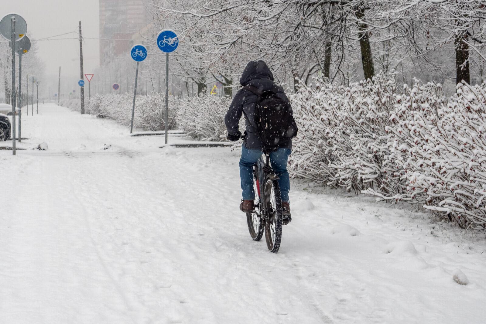 Колесов: в Ленобласть пришли морозы до -22 градусов, но петербуржцев порадует солнце