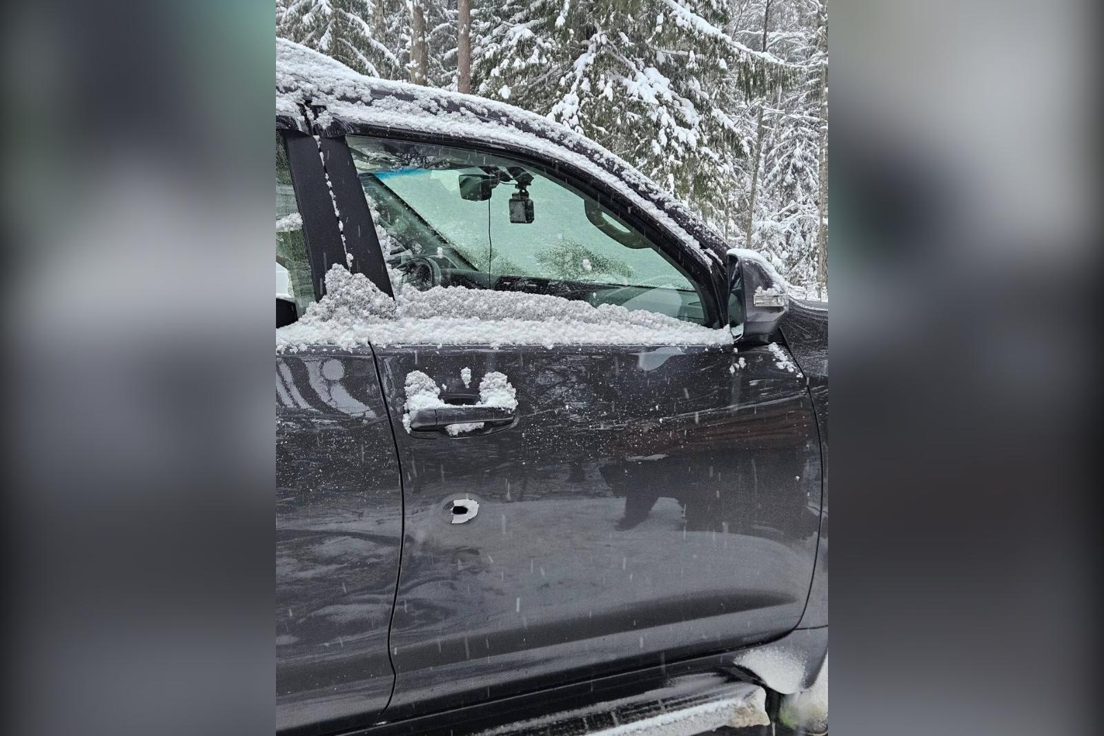 Охотник в Кингисеппском районе застрелил человека вместо лося