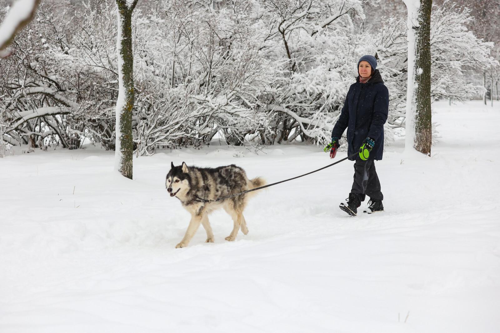 Депутат Чаплин дал советы, как защитить дачу от злоумышленников зимой