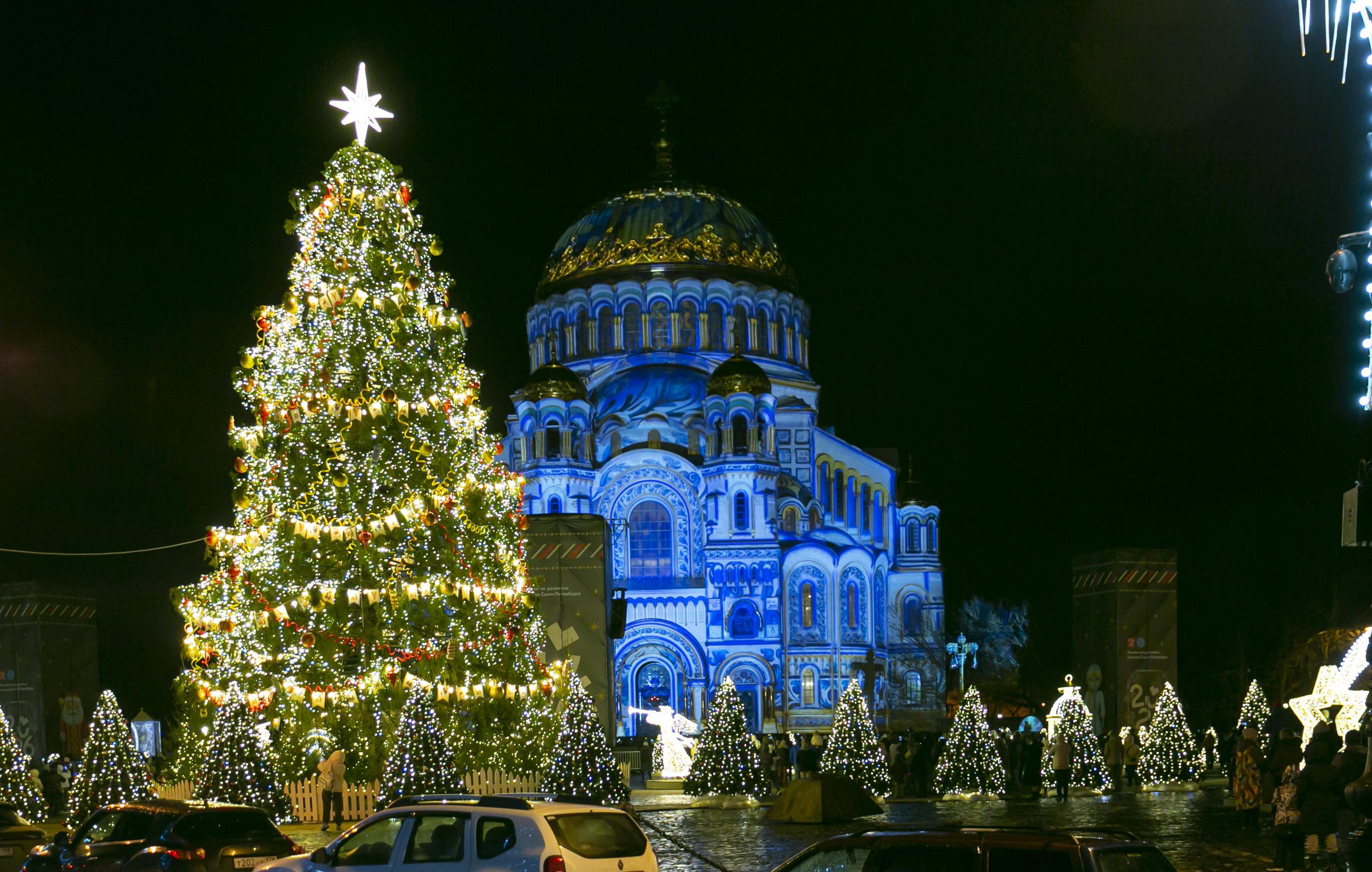 Беглов отреагировал на признание петербургской елки лучшей в России