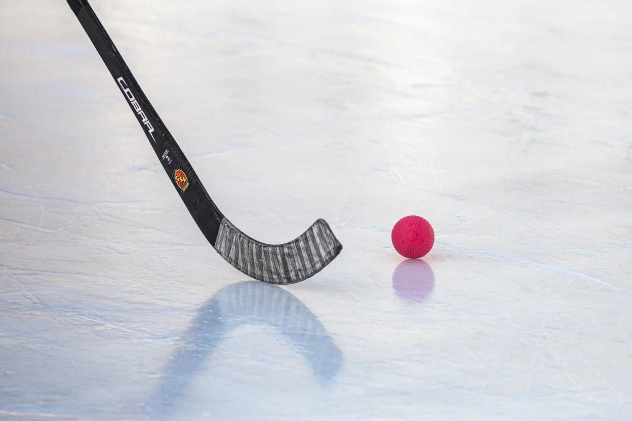 Петербуржцам рассказали об истории и перспективах хоккея с мячом
