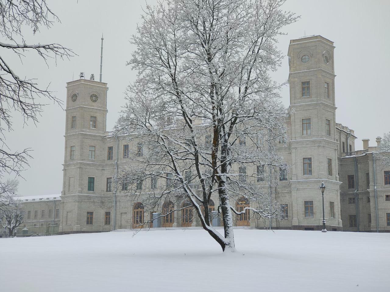Концерт придворного оркестра, основанного Александром III состоится в Гатчинском дворце спустя 130 лет