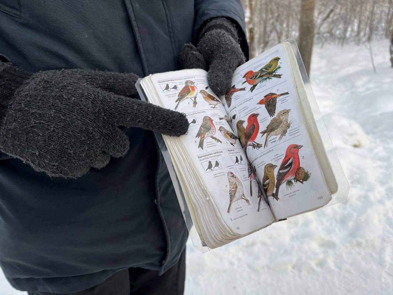 В Петербурге 24 января пройдет лыжная орнитологическая экскурсия