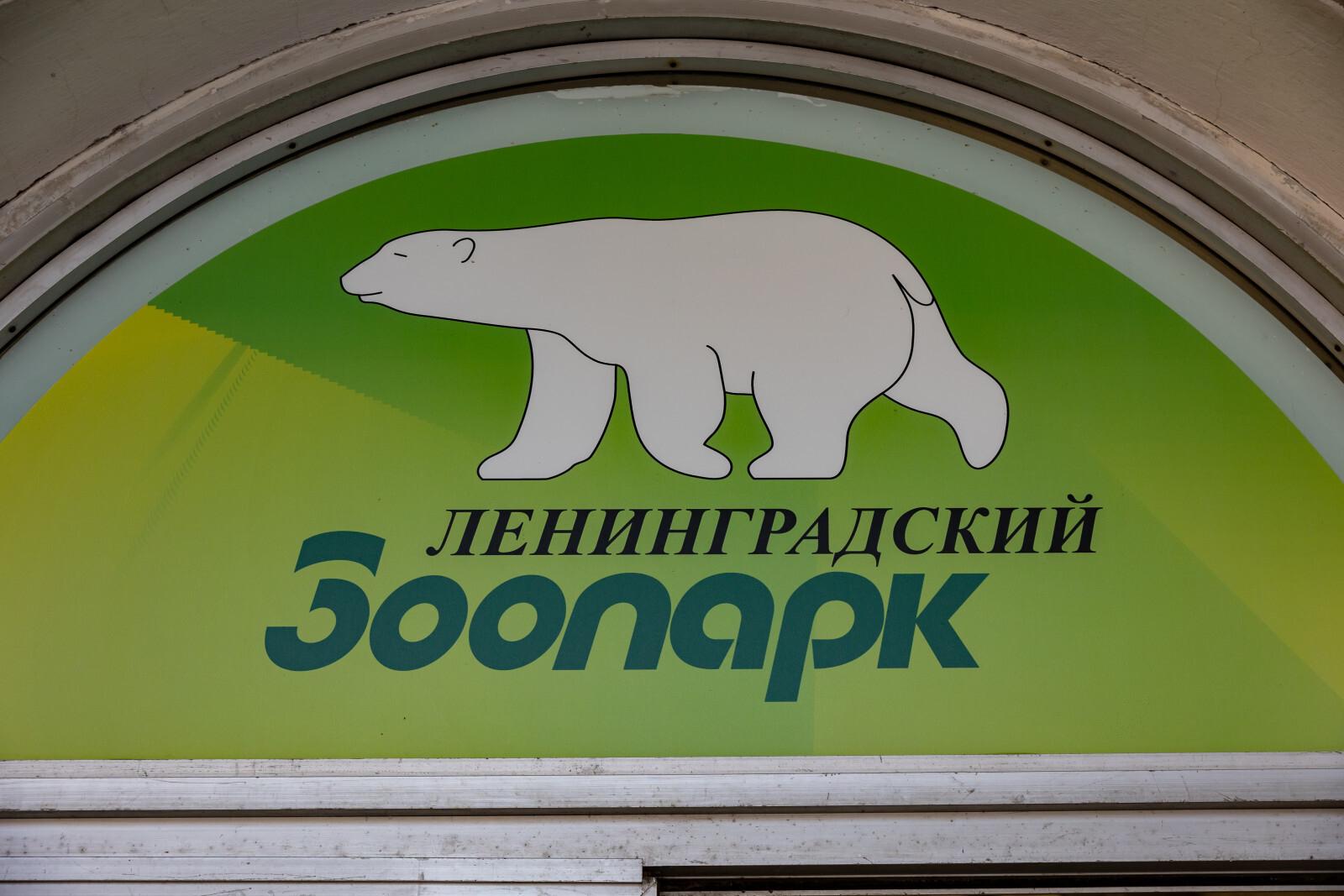 В Петербурге спасли 300-летние чучела питомцев Петра I