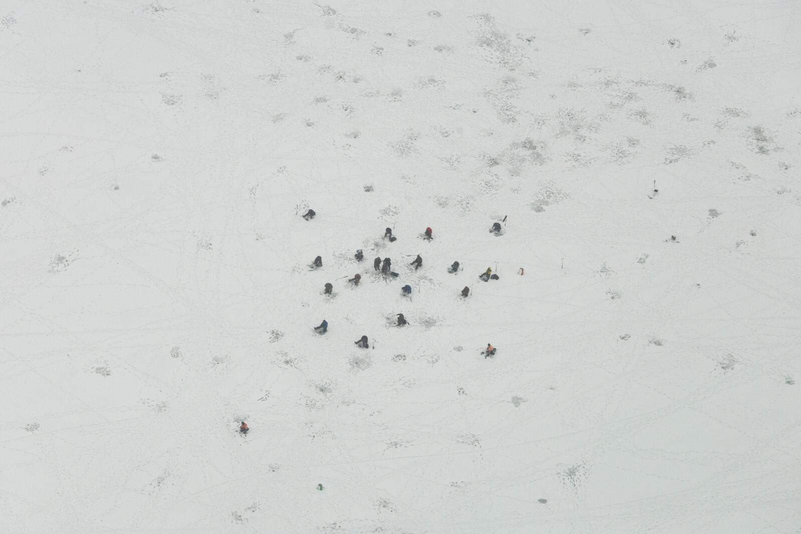 В Ленобласти 25 января ожидается до минус 14 градусов