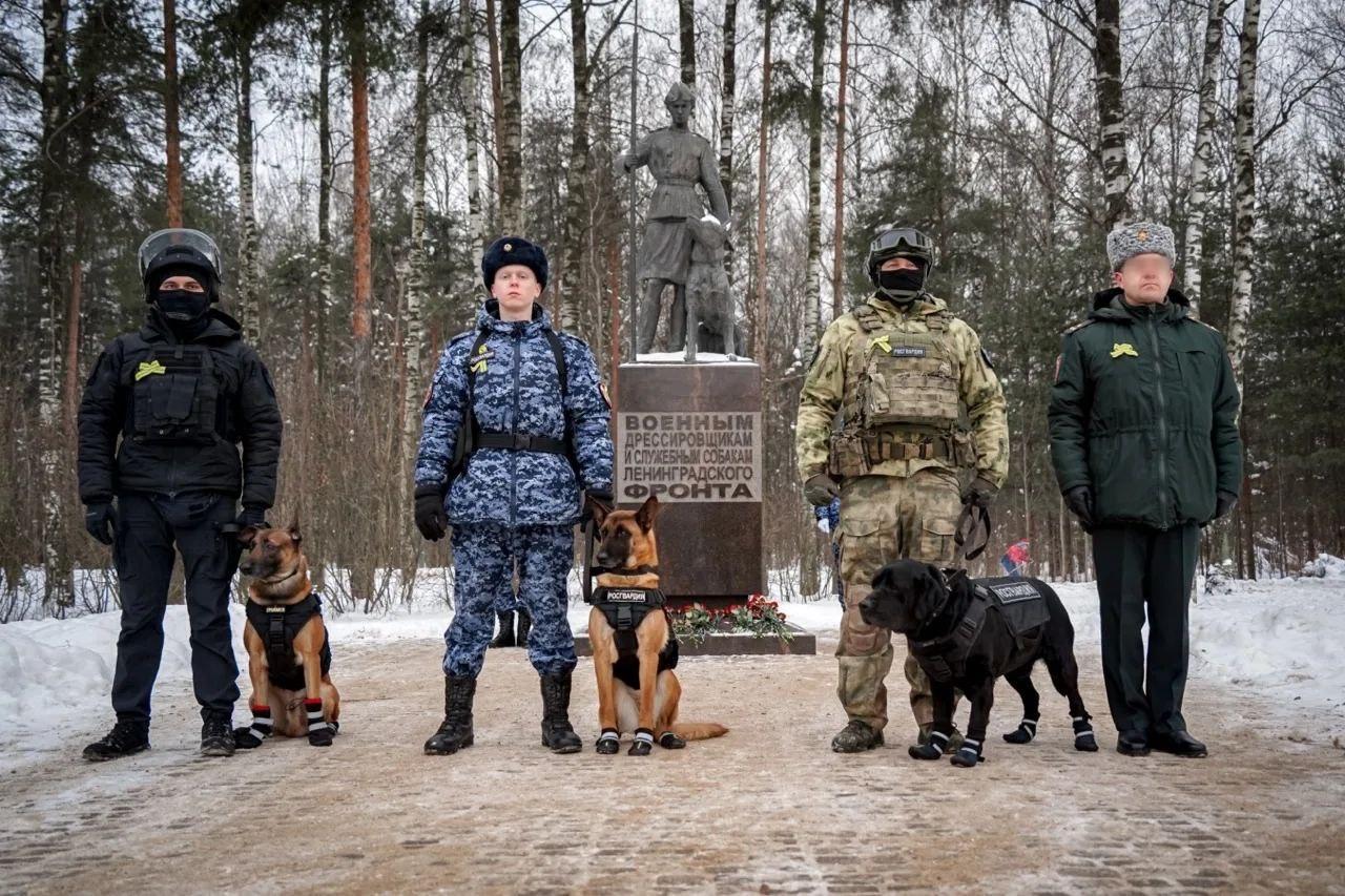 Кинологи Северо-Запада почтили саперных собак Ленинградского фронта