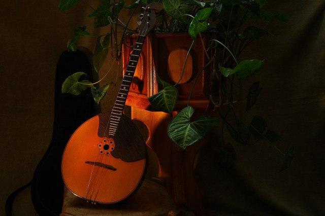 В Петербурге впервые пройдет Всероссийский фестиваль альтовой домры