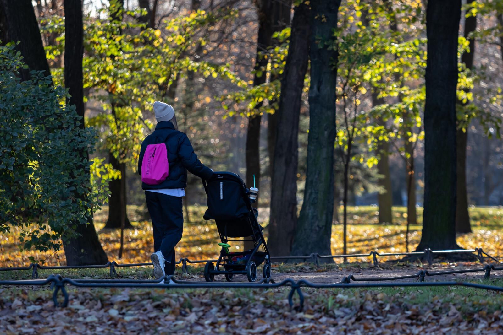 В Ленинградской области поменяют правила для получения выплат на детей в многодетных семьях