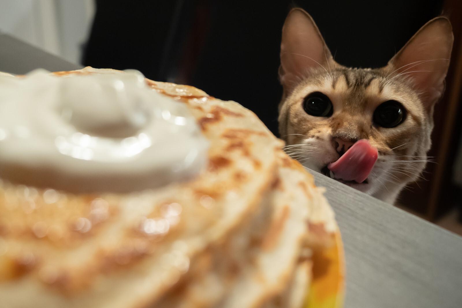 Названы самые любимые начинки для блинов у россиян