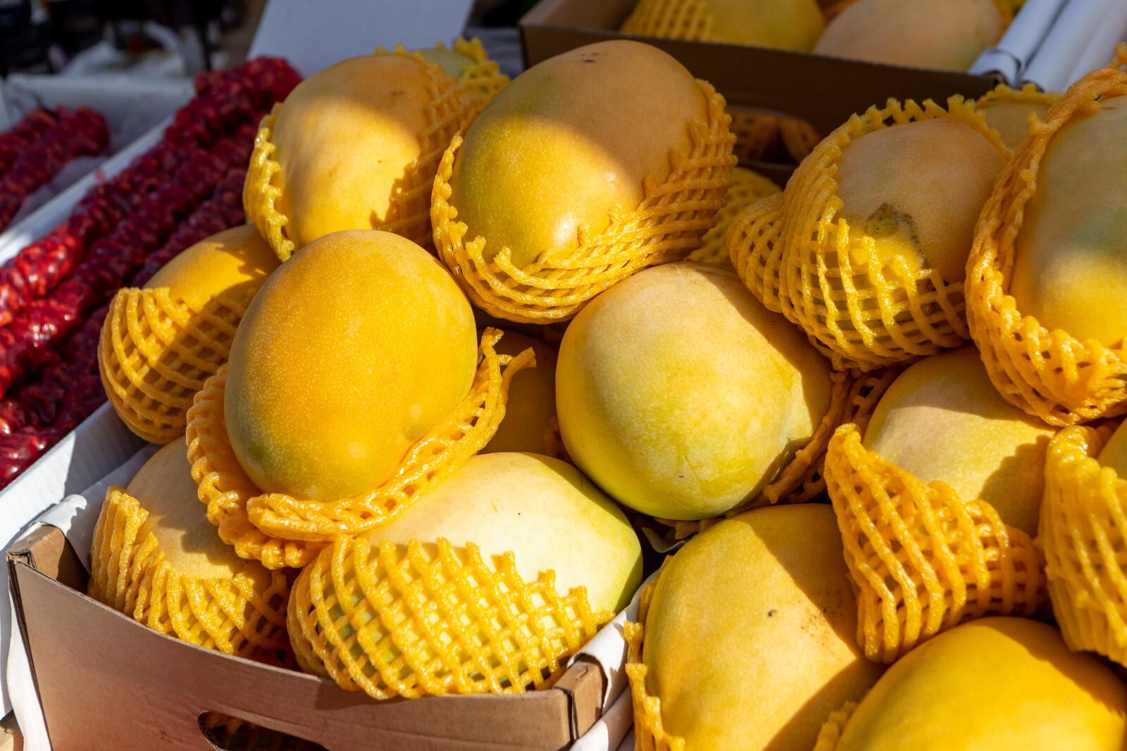 Ученые рассказали, можно ли заразиться вирусом Нипах через фрукты