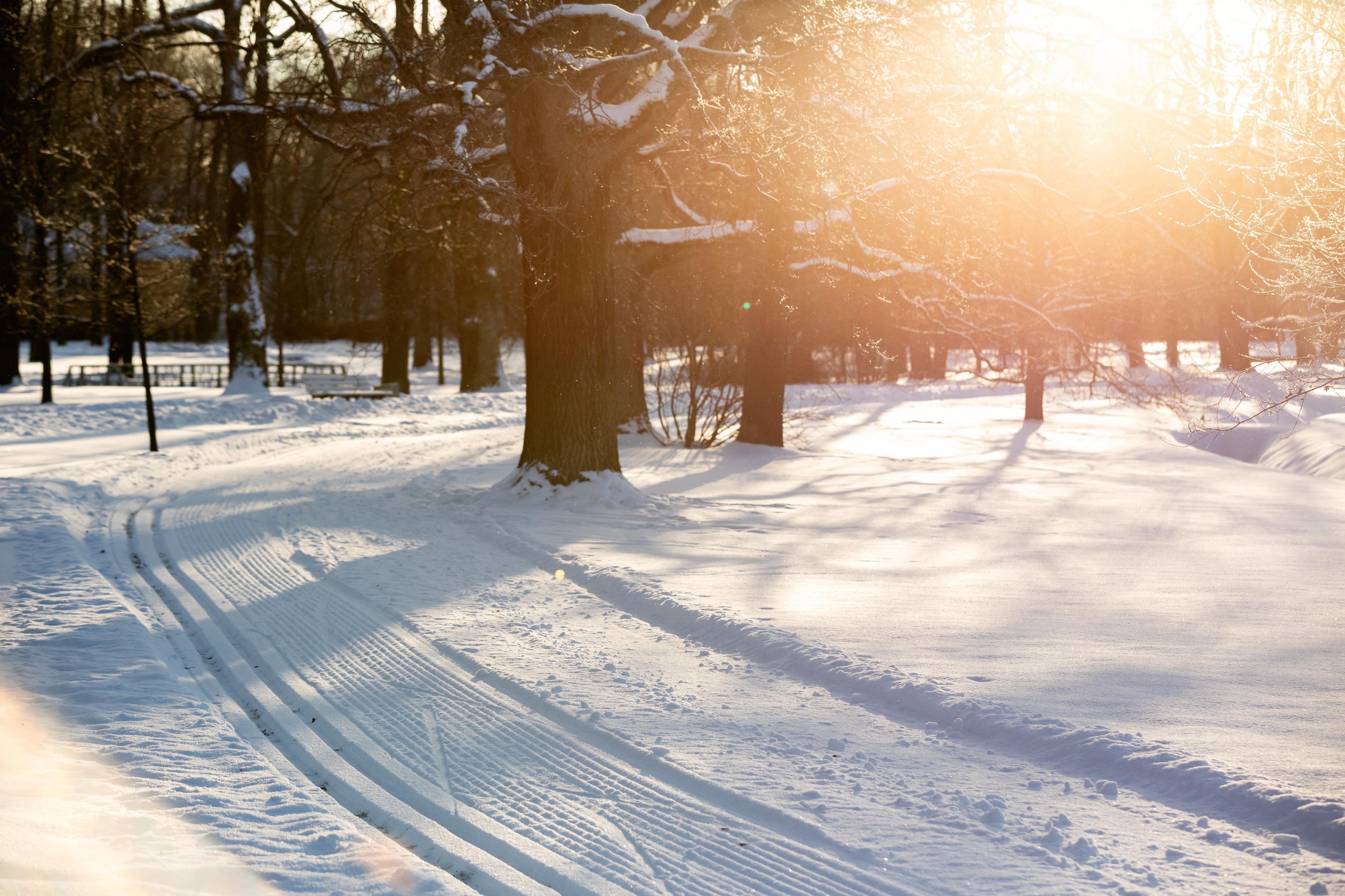 В «Петергофе» проложили лыжню
