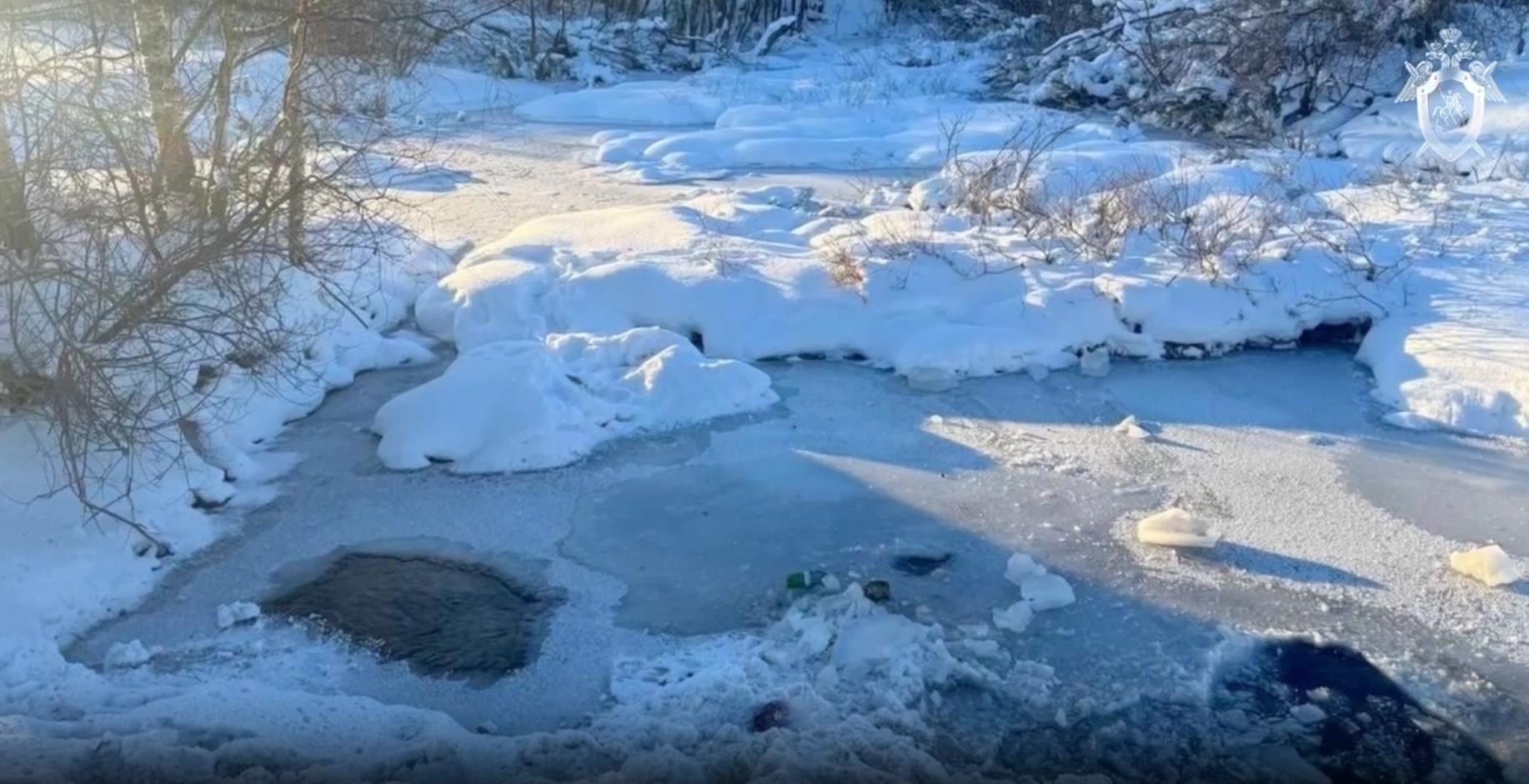Видео: СК раскрыл новые детали убийства девятилетнего Паши Тифитулина