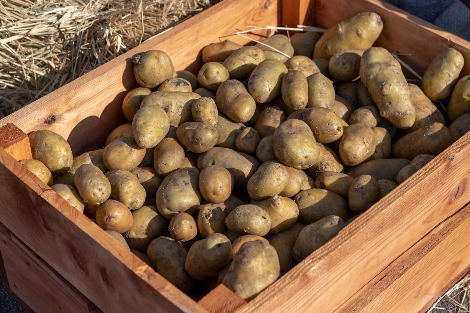 В РФ значительно подешевели картофель и яйца