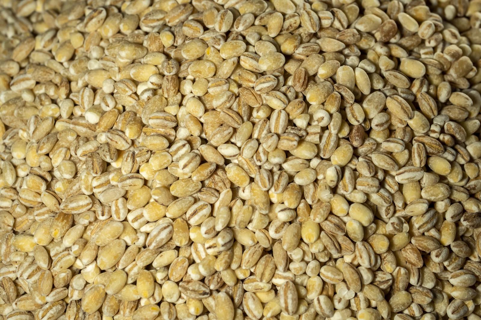 Борисенко: Россия за год поставила в Египет более восьми миллионов тонн пшеницы