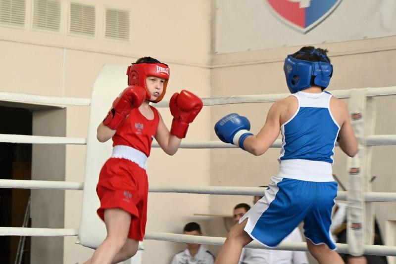 В Выборге прошел турнир по боксу памяти погибшего участника СВО Ивана Иванина