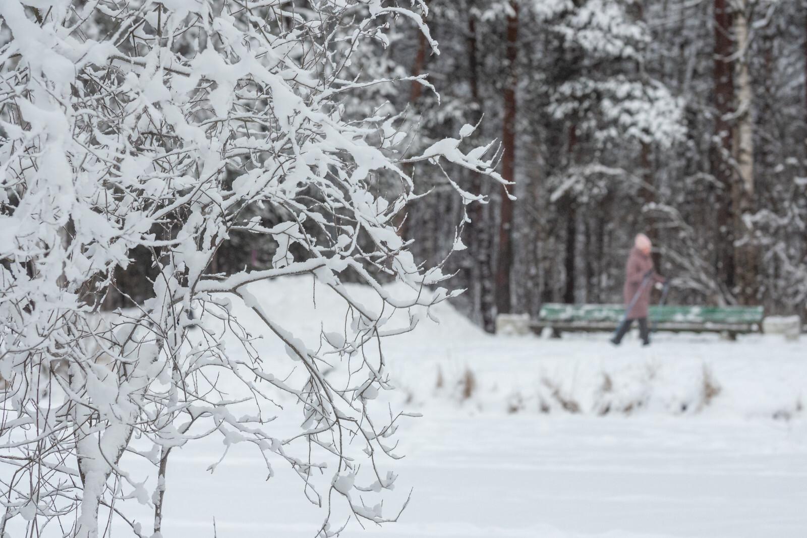 В Петербурге 23 февраля ожидается до минус пяти градусов
