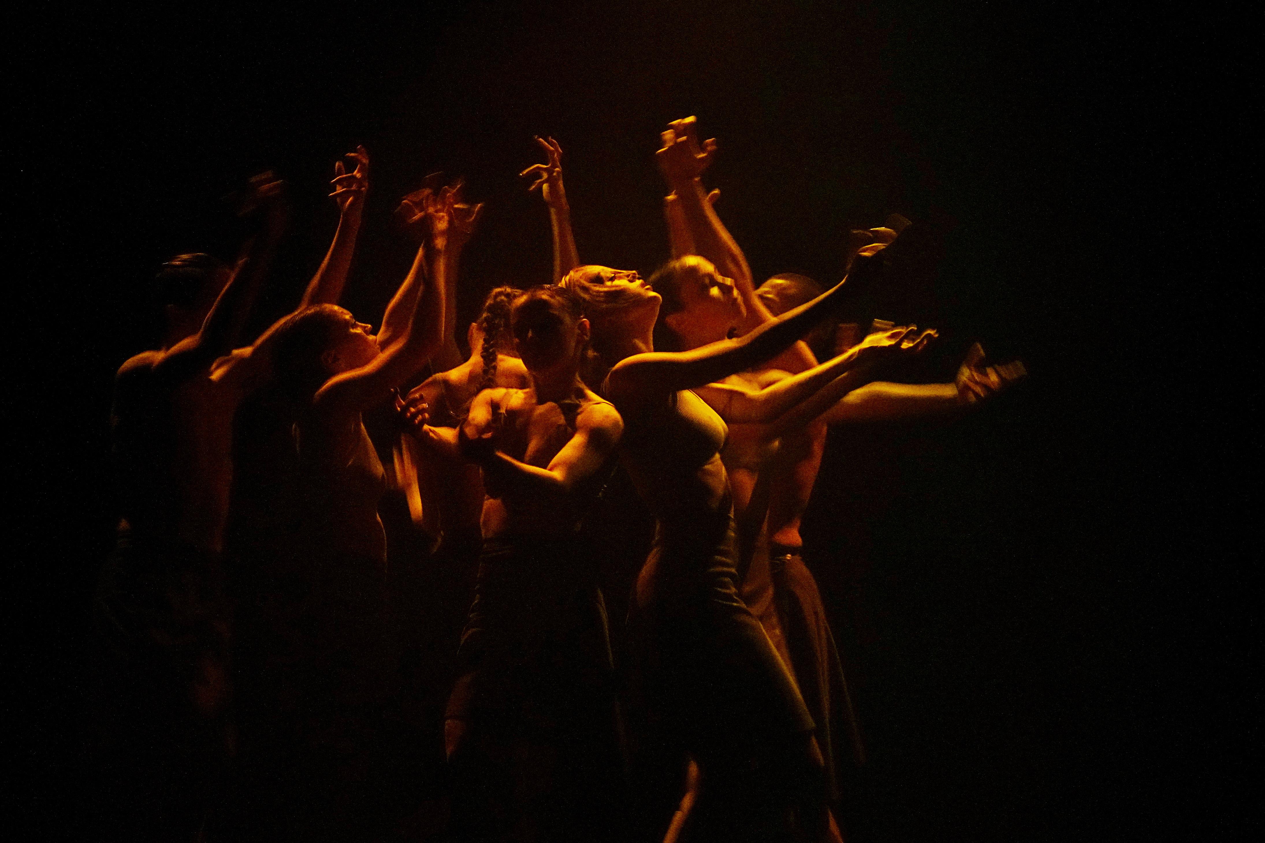 В Петербурге 2 марта представят программу «Фокус Корея»