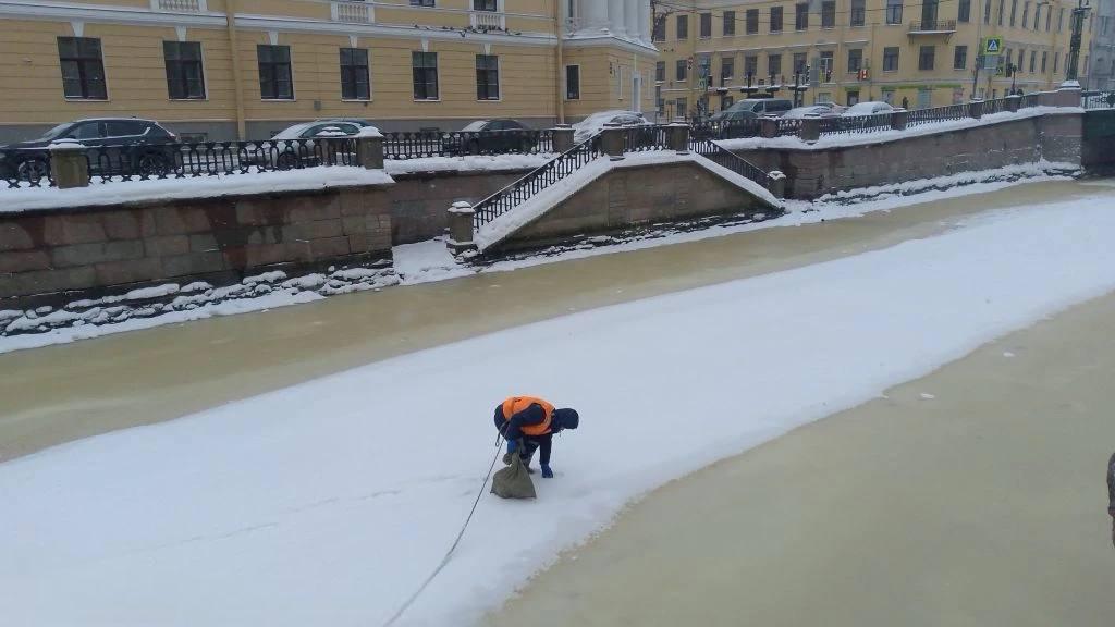 В Петербурге за неделю собрали более 39 тонн опасных отходов