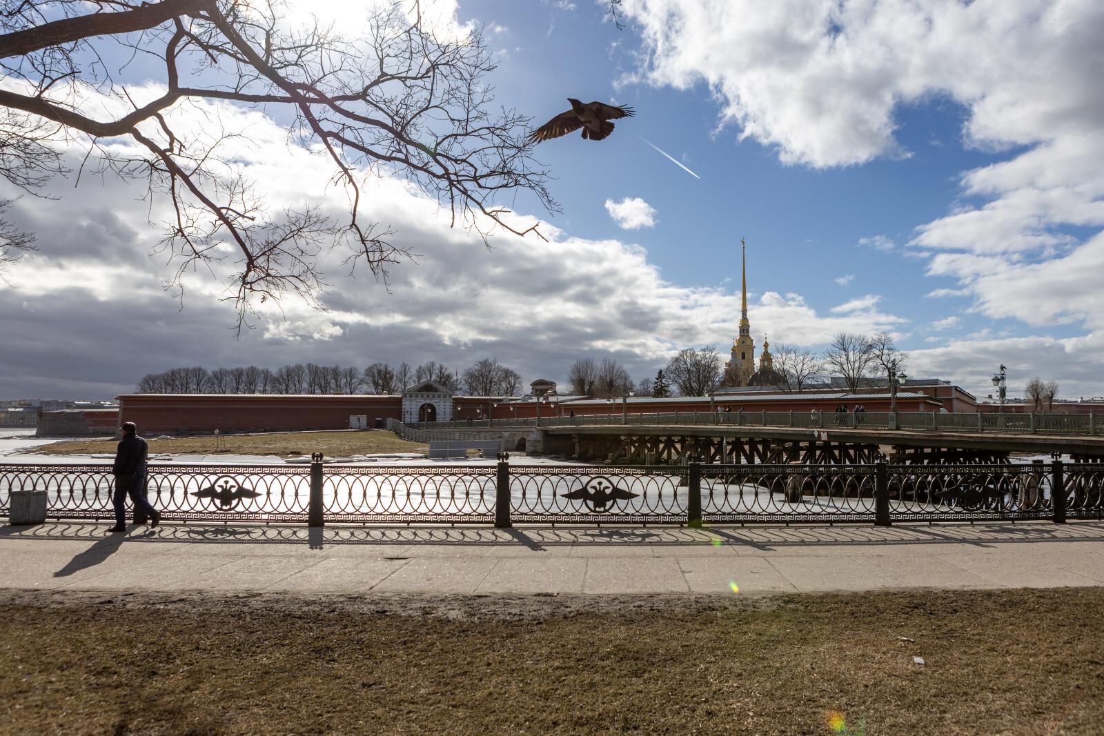 В Петербургском педиатрическом университете объяснили, как укрепить иммунитет с приходом весны