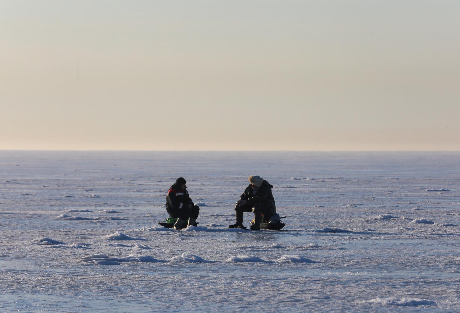 Спасатели доставили на берег со льда Финского залива 230 рыбаков-любителей