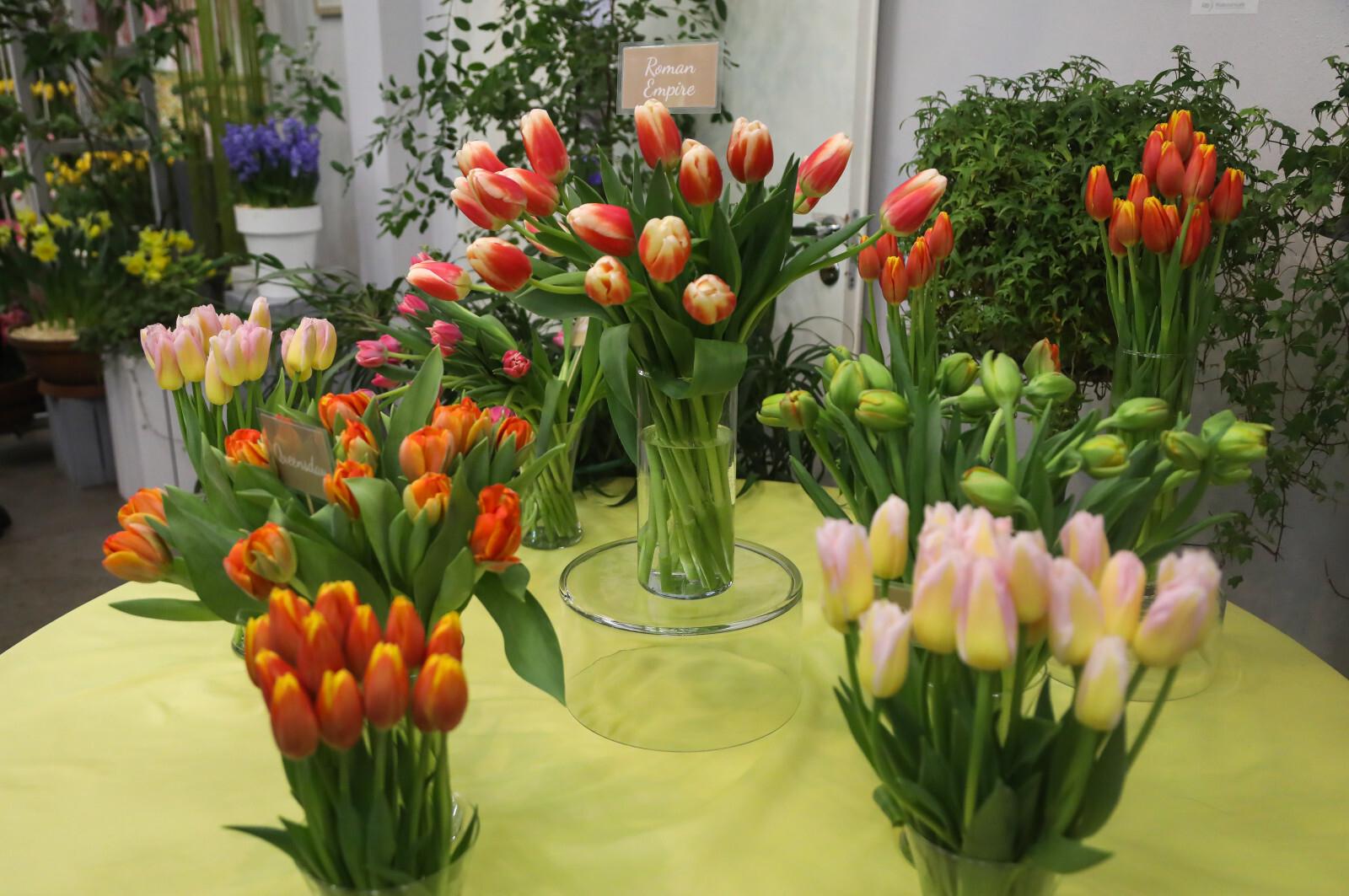 Флорист рассказала, какие цветы выбирают мужчины на 8 Марта