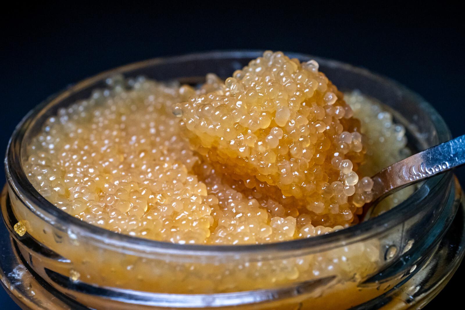 Эксперт объяснил, в каких случаях несъеденная еда повторно попадает на шведский стол