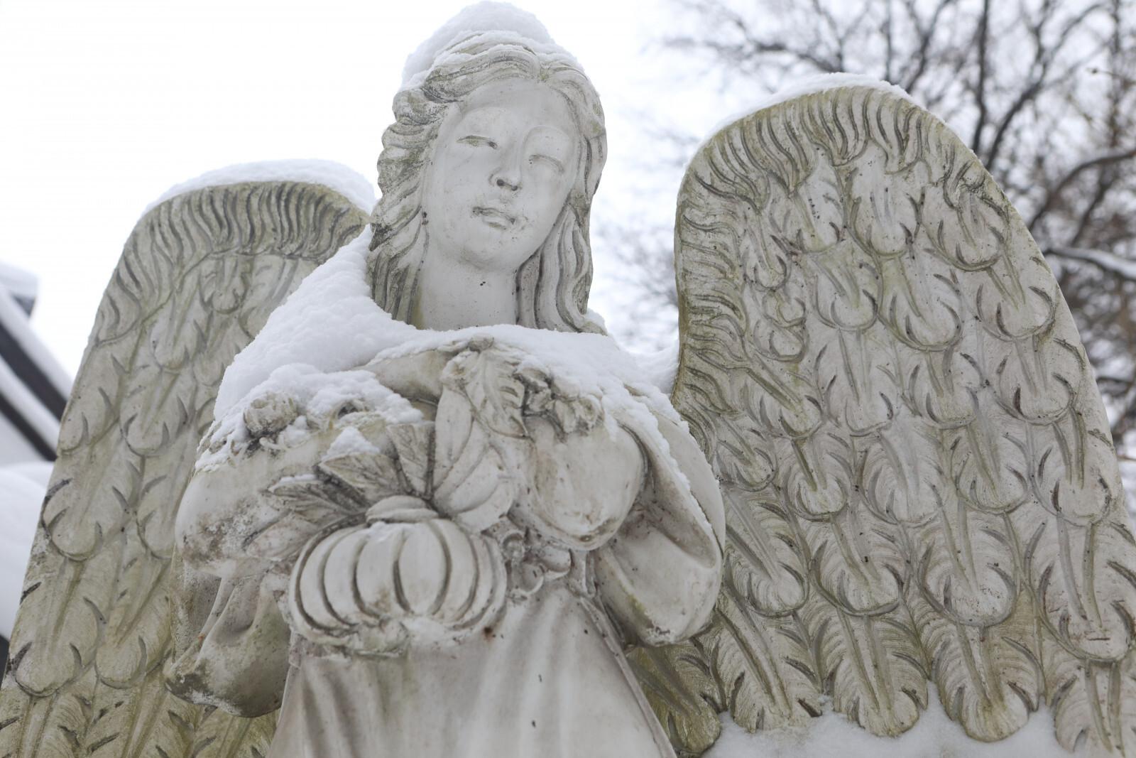 Прах фотографа Валерия Плотникова захоронили 21 марта на Смоленском кладбище в Петербурге