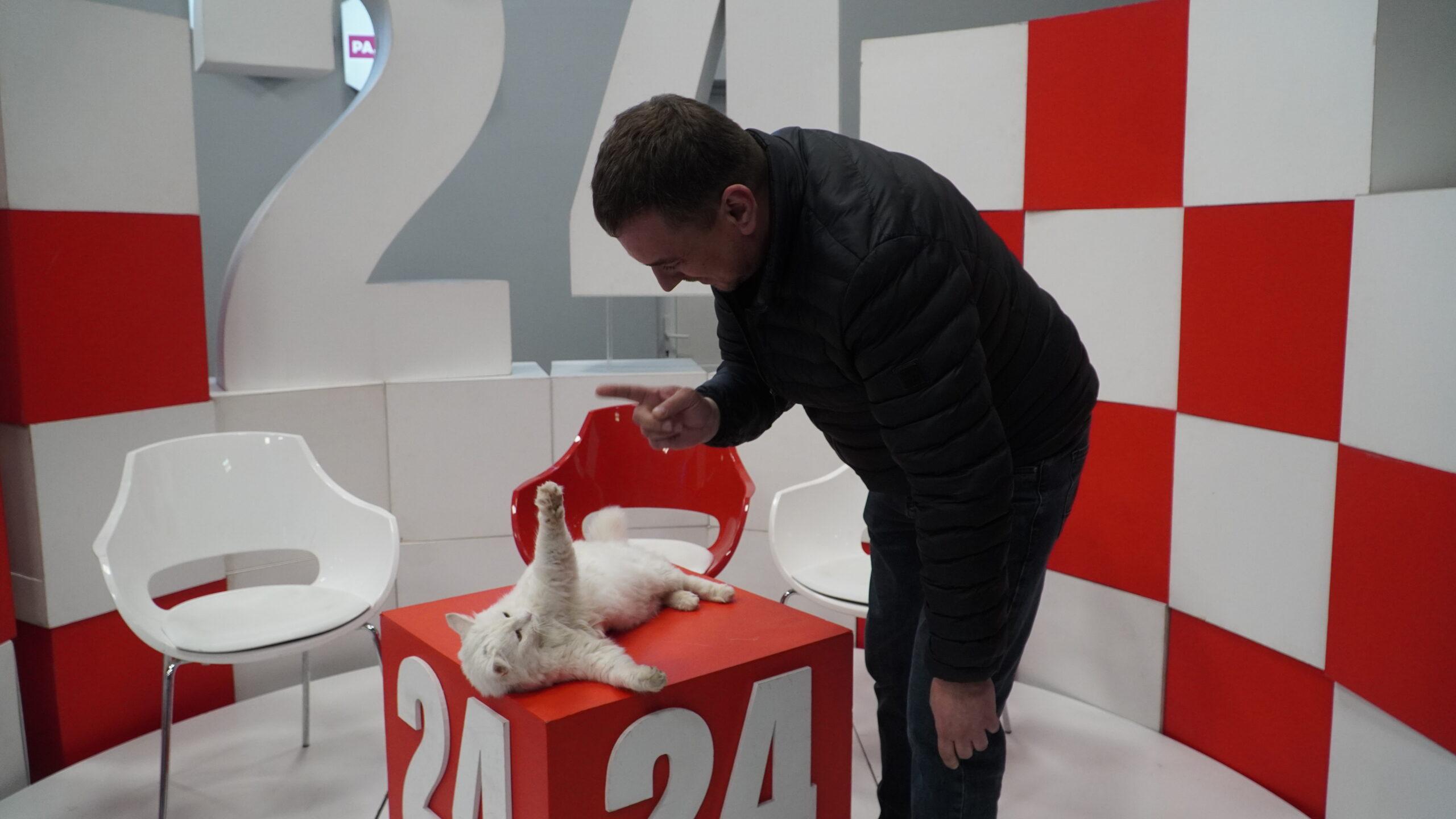 «Мурналисты»: на крымских телеканалах работают коты