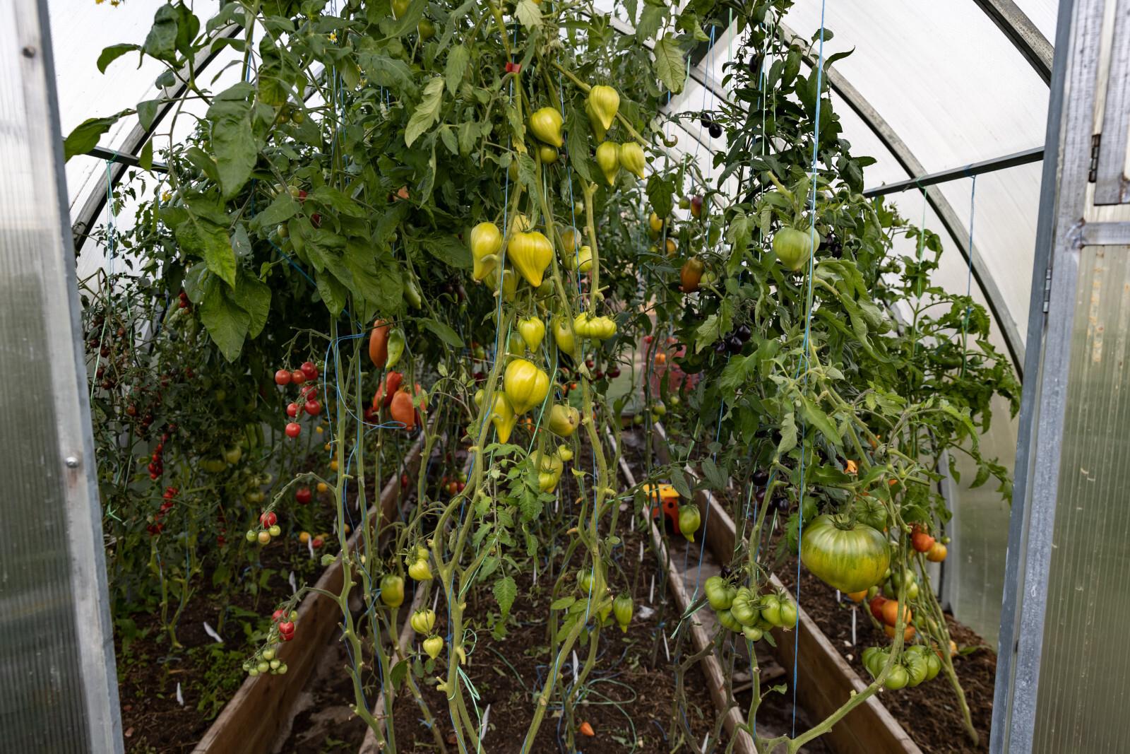 Агроном Ахметзянова: весной лучше использовать компост, а не свежий навоз