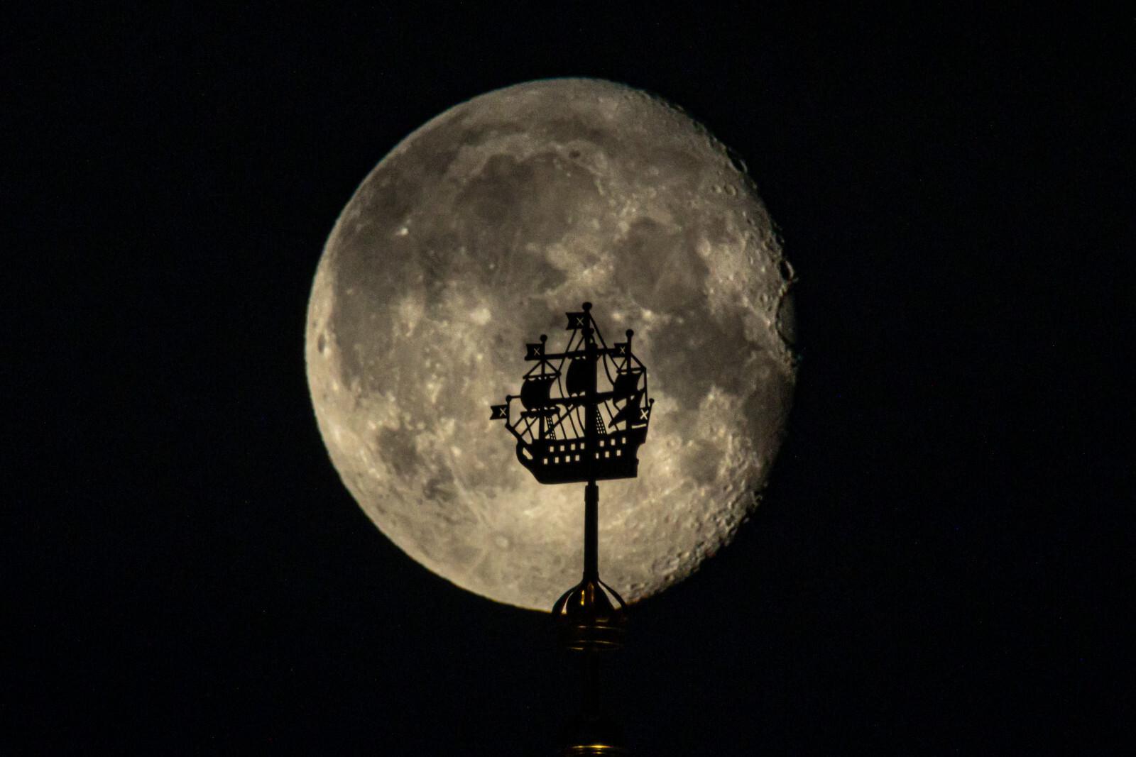В Нижне-Свирском заповеднике в Ленобласти напомнили, что 28 марта пройдет «Час Земли»
