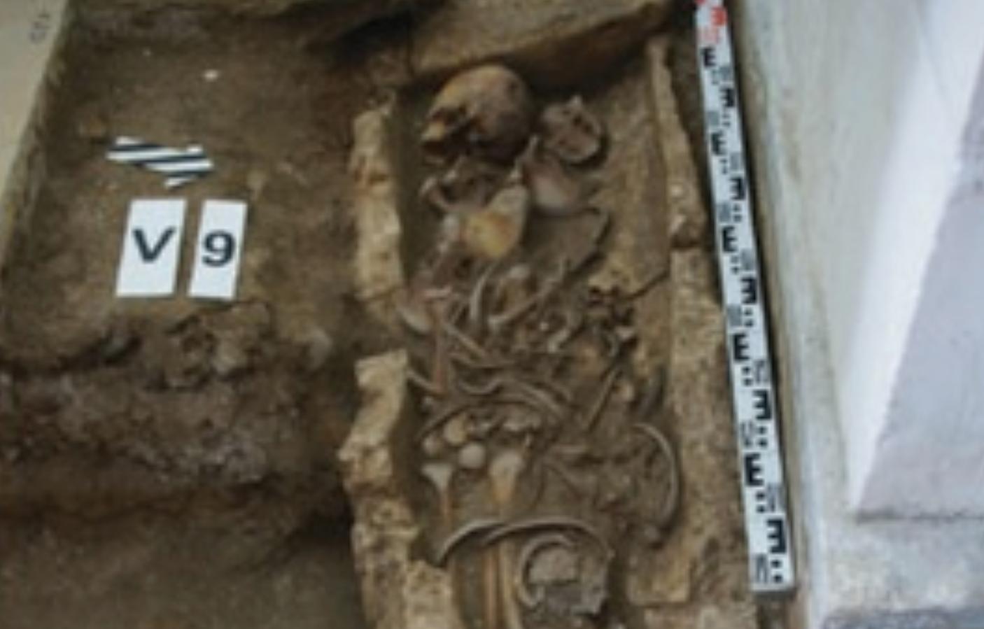 Российские ученые изучили останки «древнего индивида» из Переславля-Залесского — детали