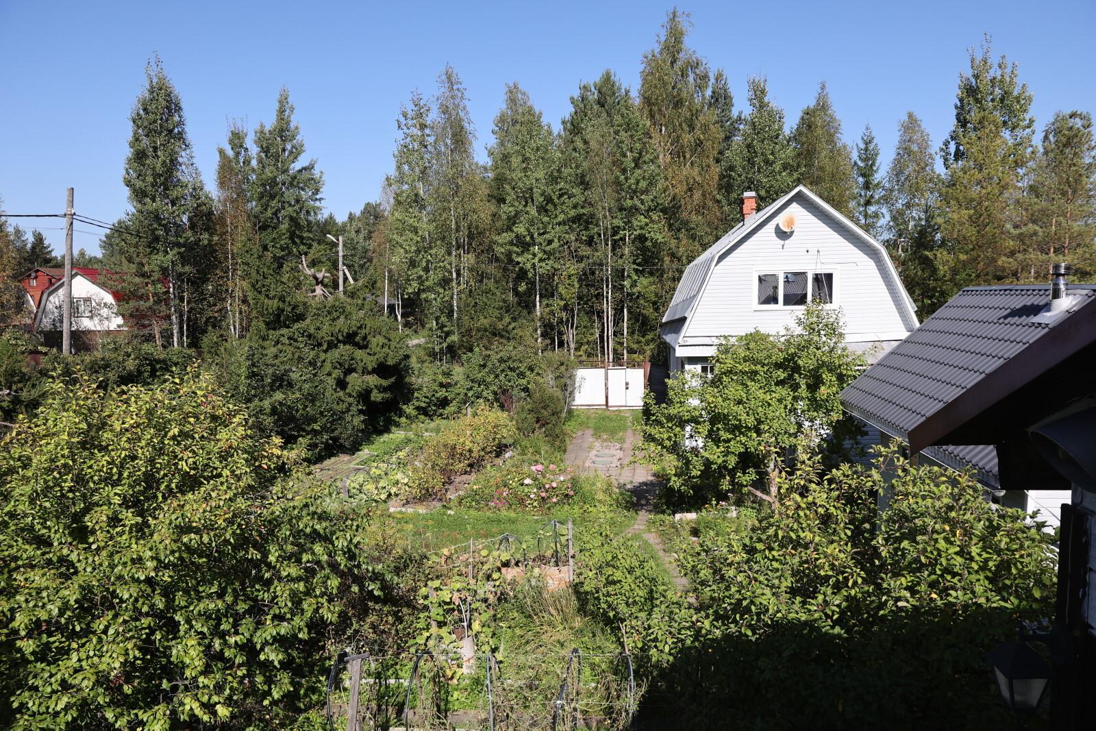 Россиянам рассказали, как аферисты обманывают садоводов на маркетплейсах